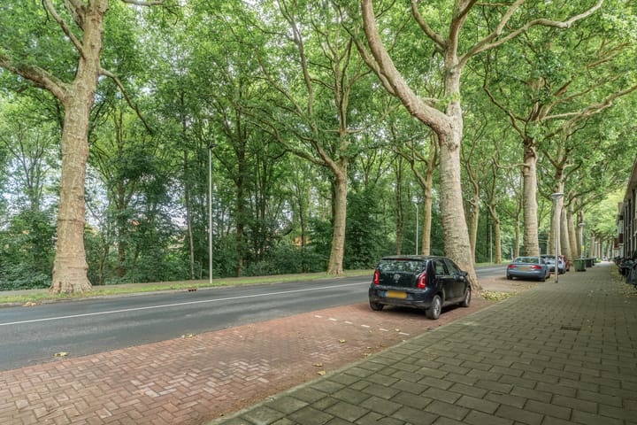 Foto 49 van Zuidzijde Zoom 24
