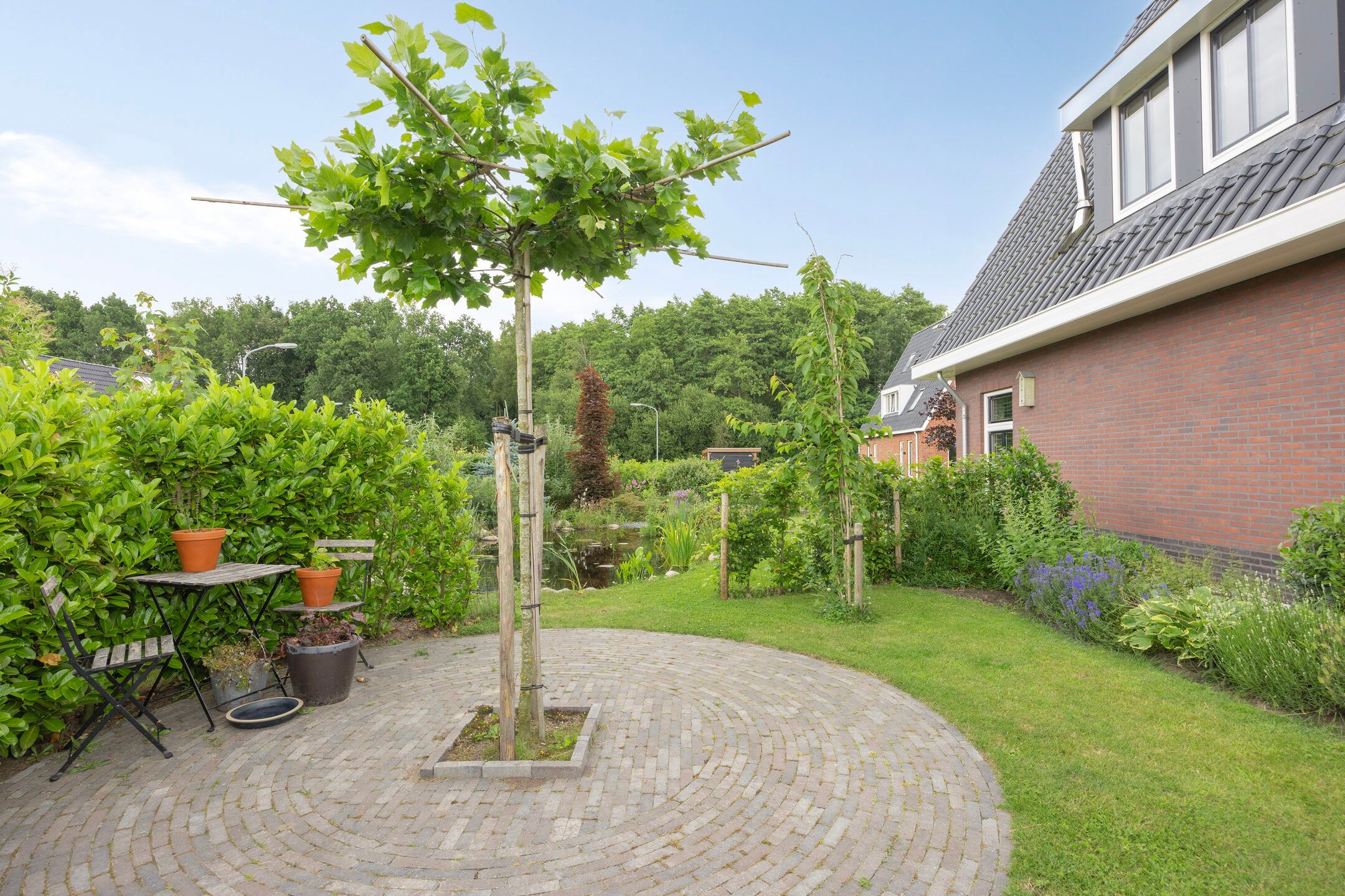 Photo 48 of De Viermaster 22