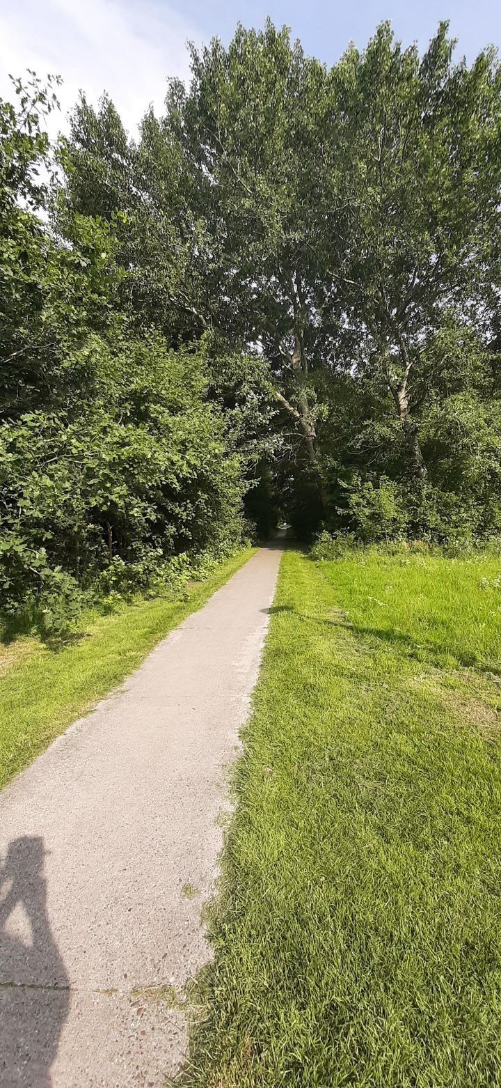 Photo 53 of De Viermaster 22