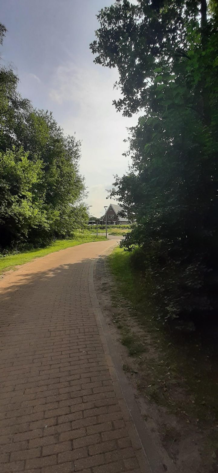 Photo 54 of De Viermaster 22