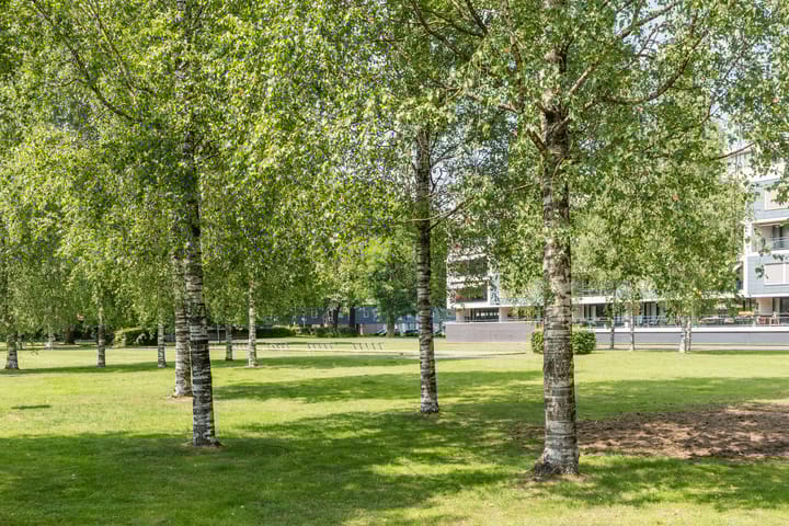 Foto 20 van Gotenpark 19