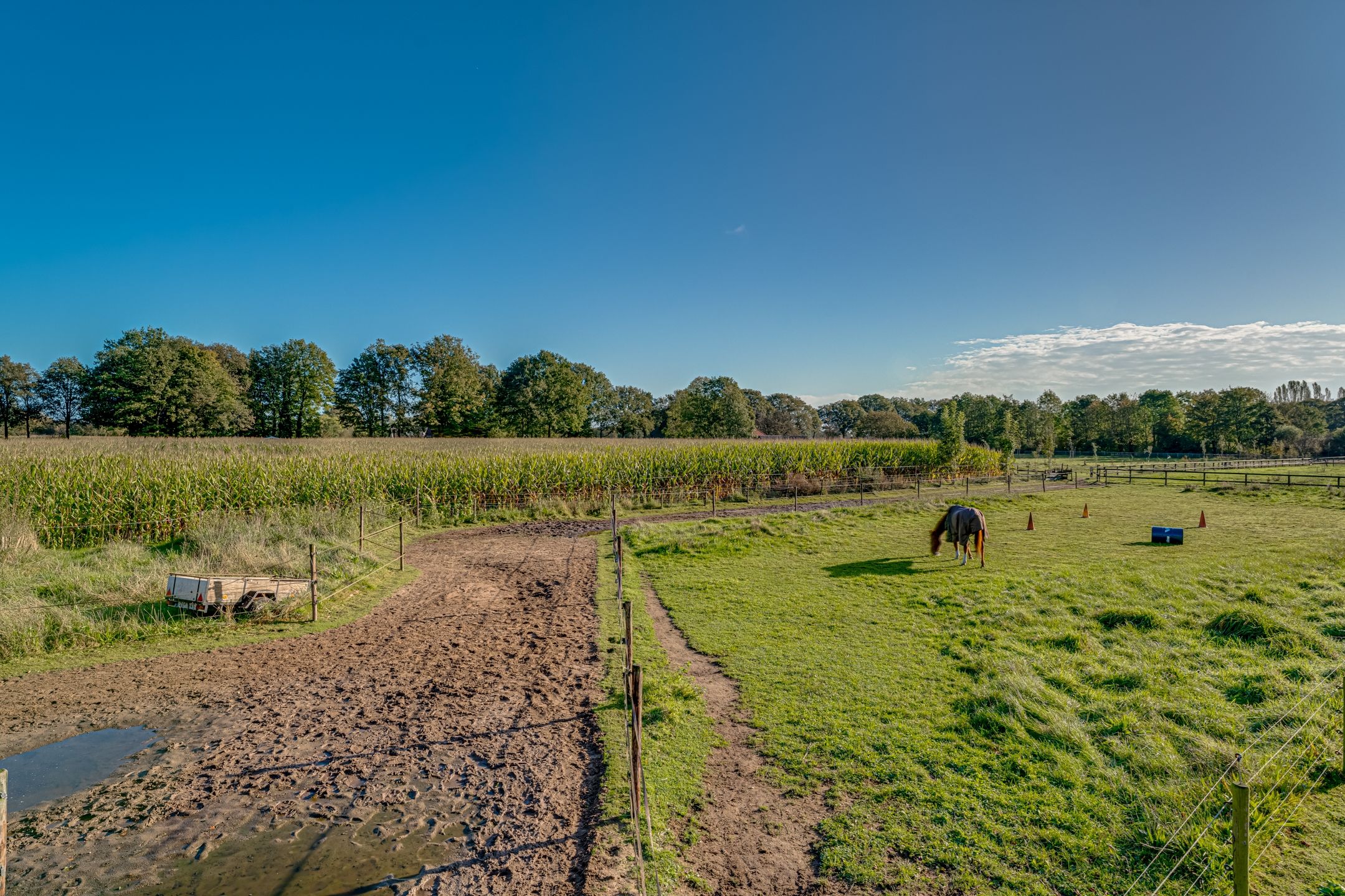 Foto 3 van Peppelmansdijk 12