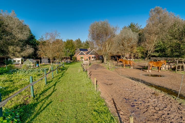 Foto 4 van Peppelmansdijk 12