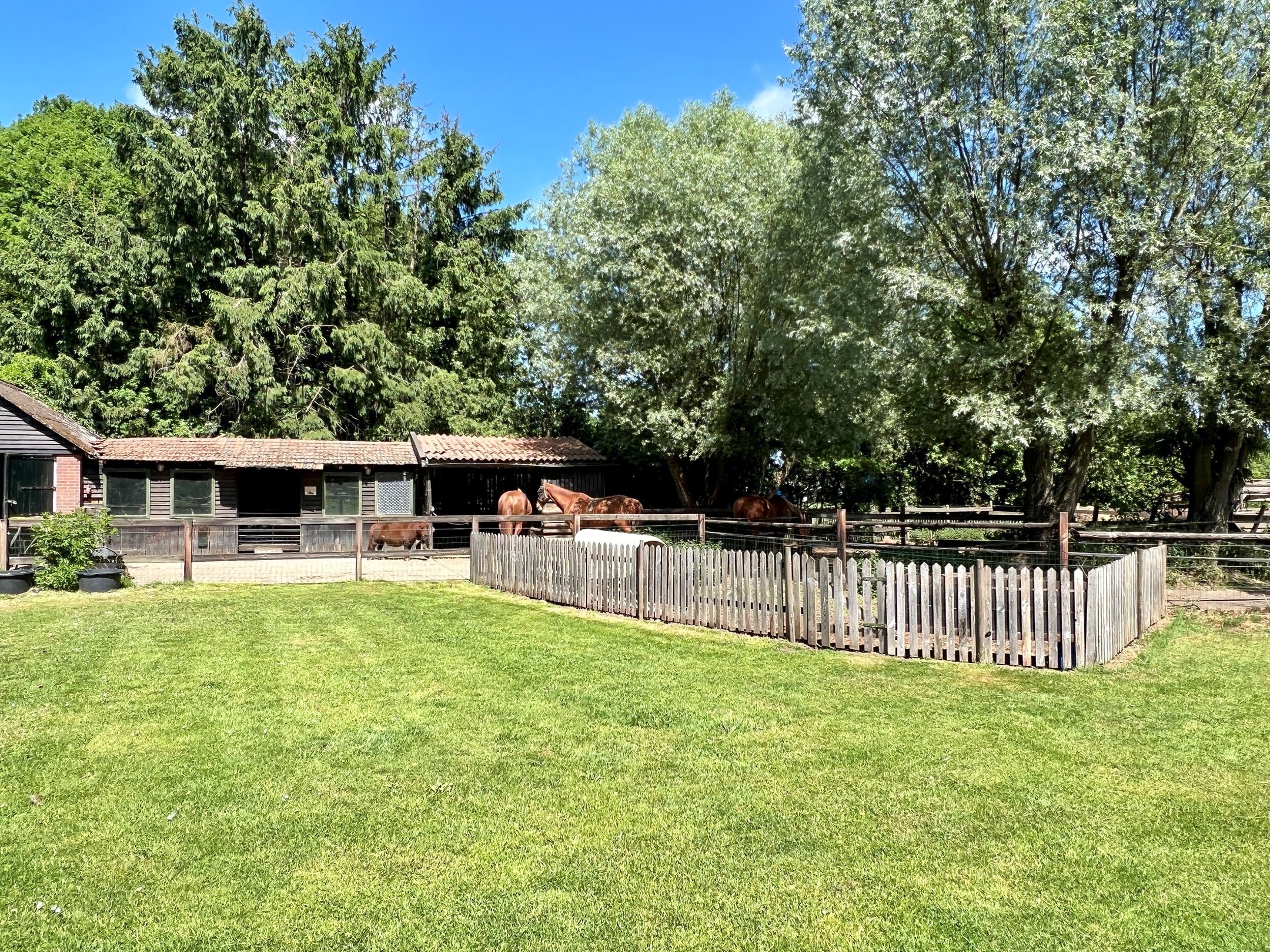 Foto 6 van Peppelmansdijk 12