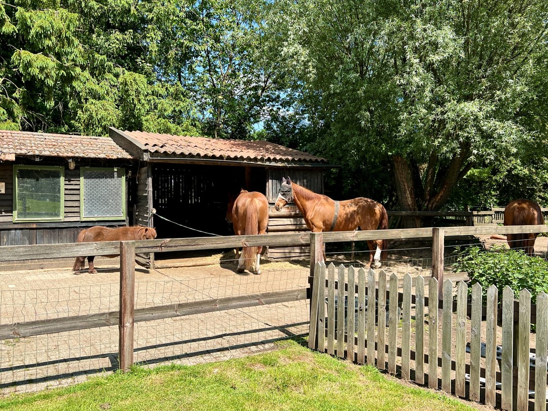 Foto 7 van Peppelmansdijk 12