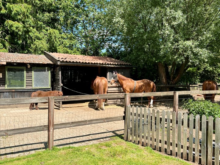 Foto 7 van Peppelmansdijk 12