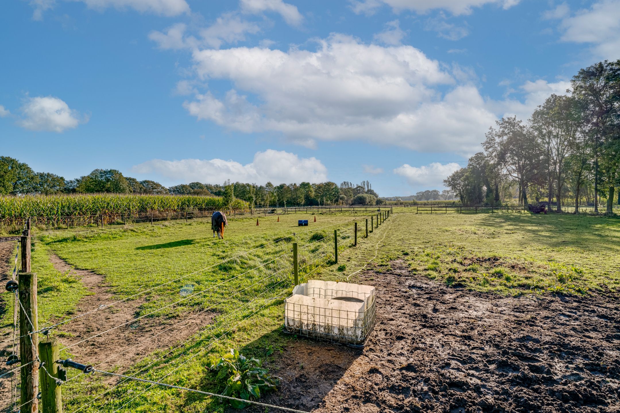 Foto 39 van Peppelmansdijk 12