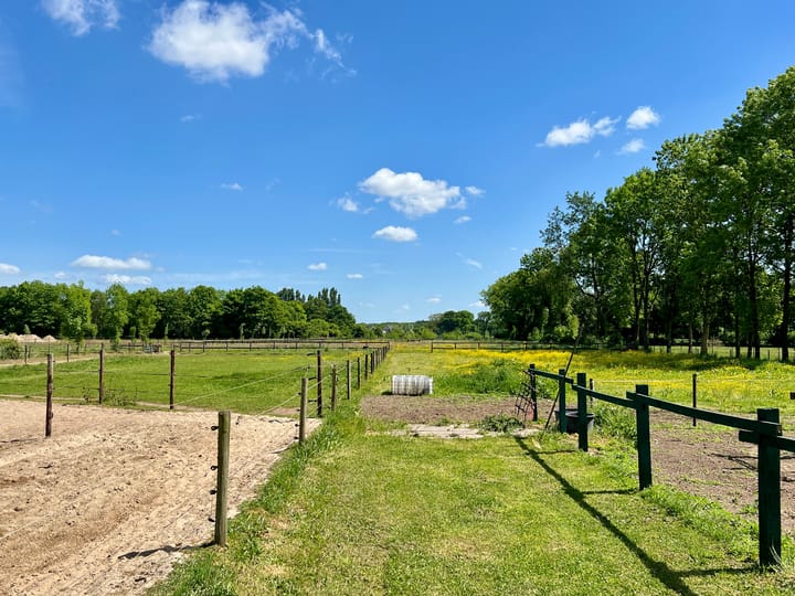 Foto 40 van Peppelmansdijk 12