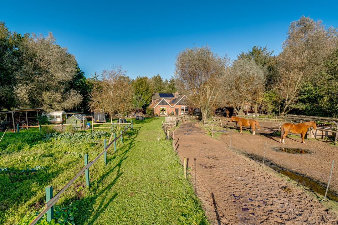 Foto 41 van Peppelmansdijk 12