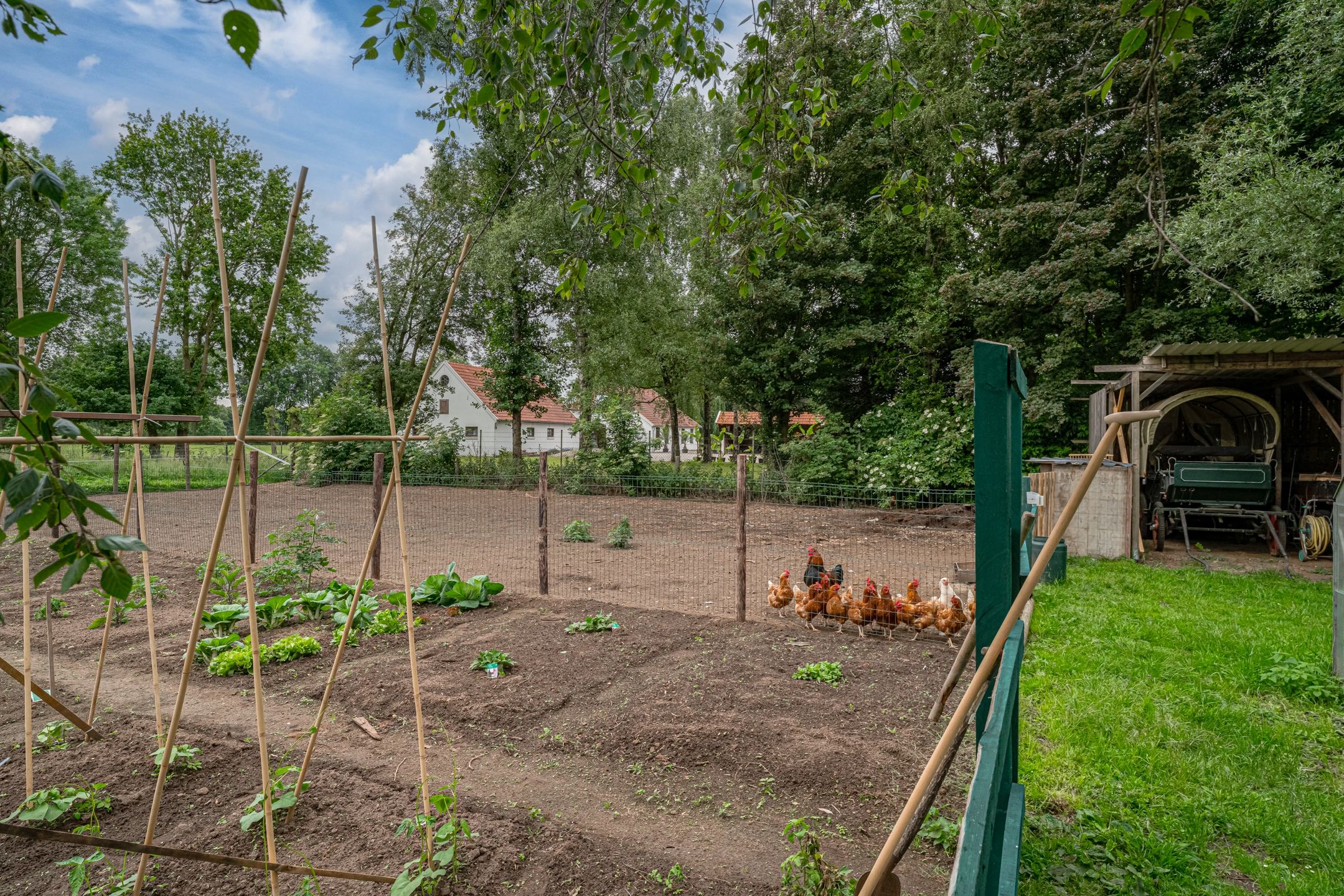 Foto 42 van Peppelmansdijk 12