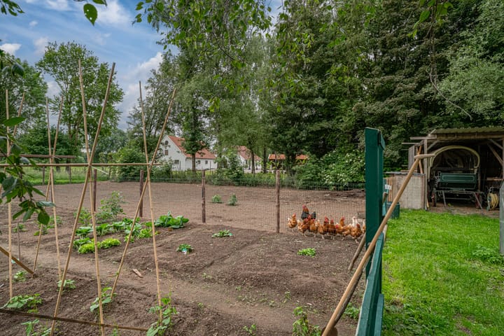 Foto 42 van Peppelmansdijk 12