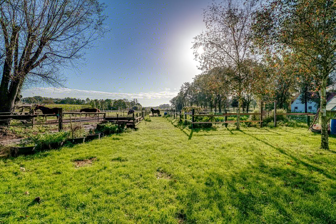 Foto 46 van Peppelmansdijk 12