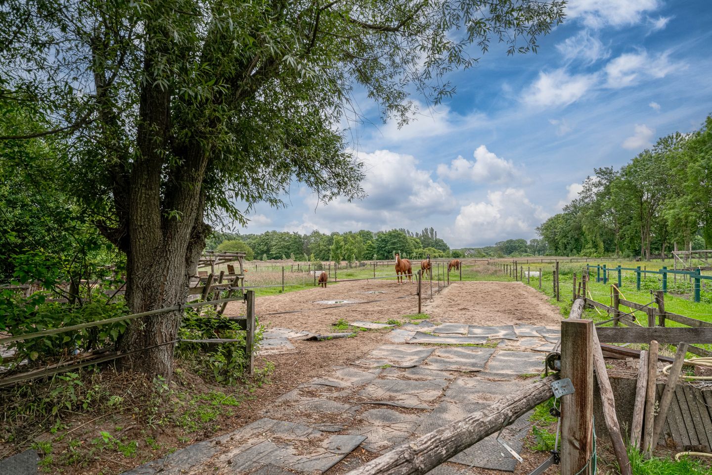 Foto 64 van Peppelmansdijk 12