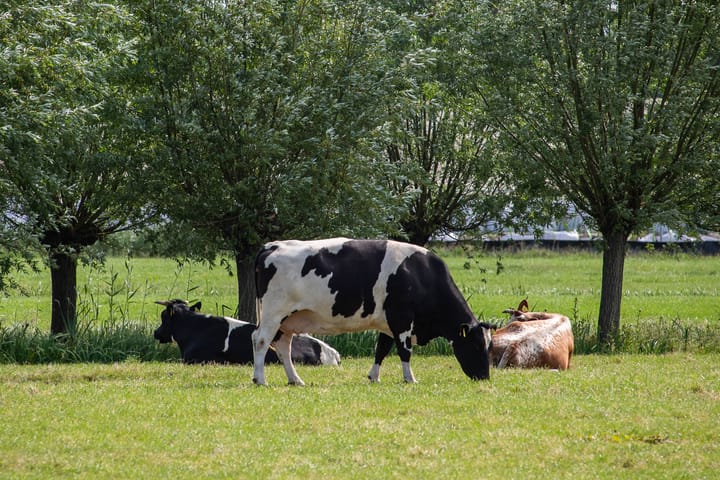 Foto 10 van Korte Muiderweg 14