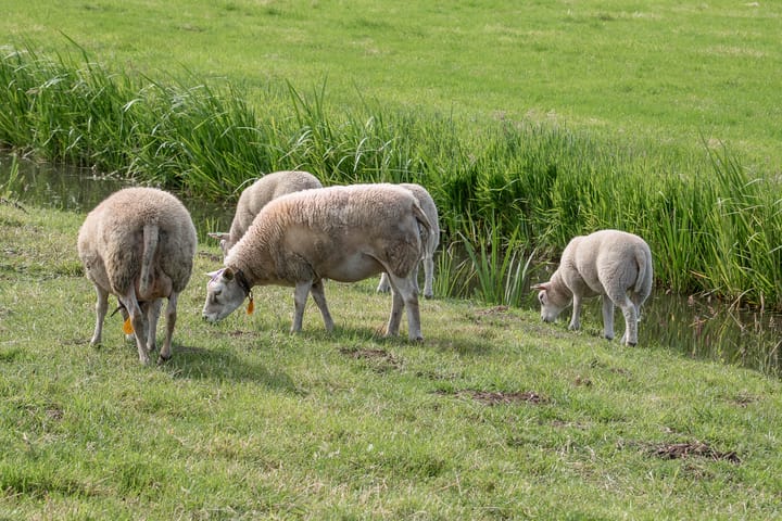 Foto 14 van Korte Muiderweg 14