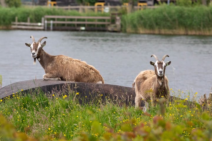 Foto 49 van Korte Muiderweg 14