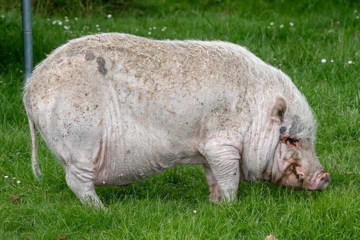 Foto 50 van Korte Muiderweg 14