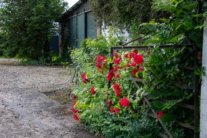 Foto 77 van Korte Muiderweg 14