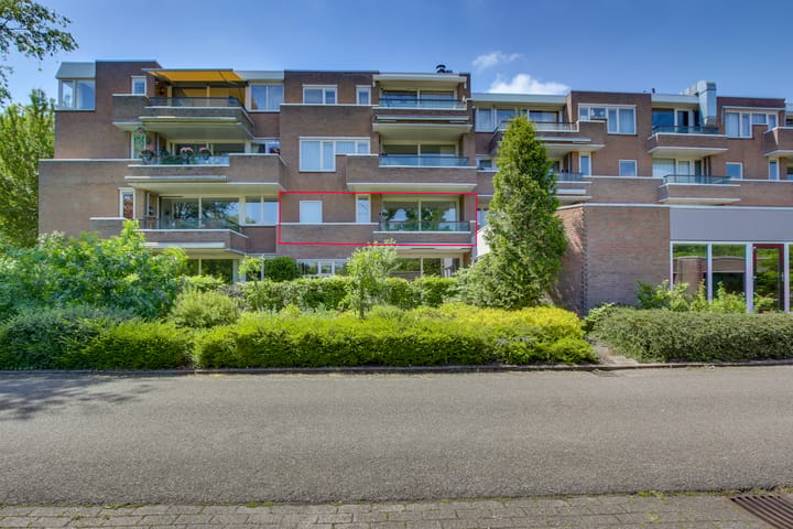 undefined main image