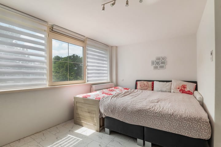 Foto 4 van Saffier 25