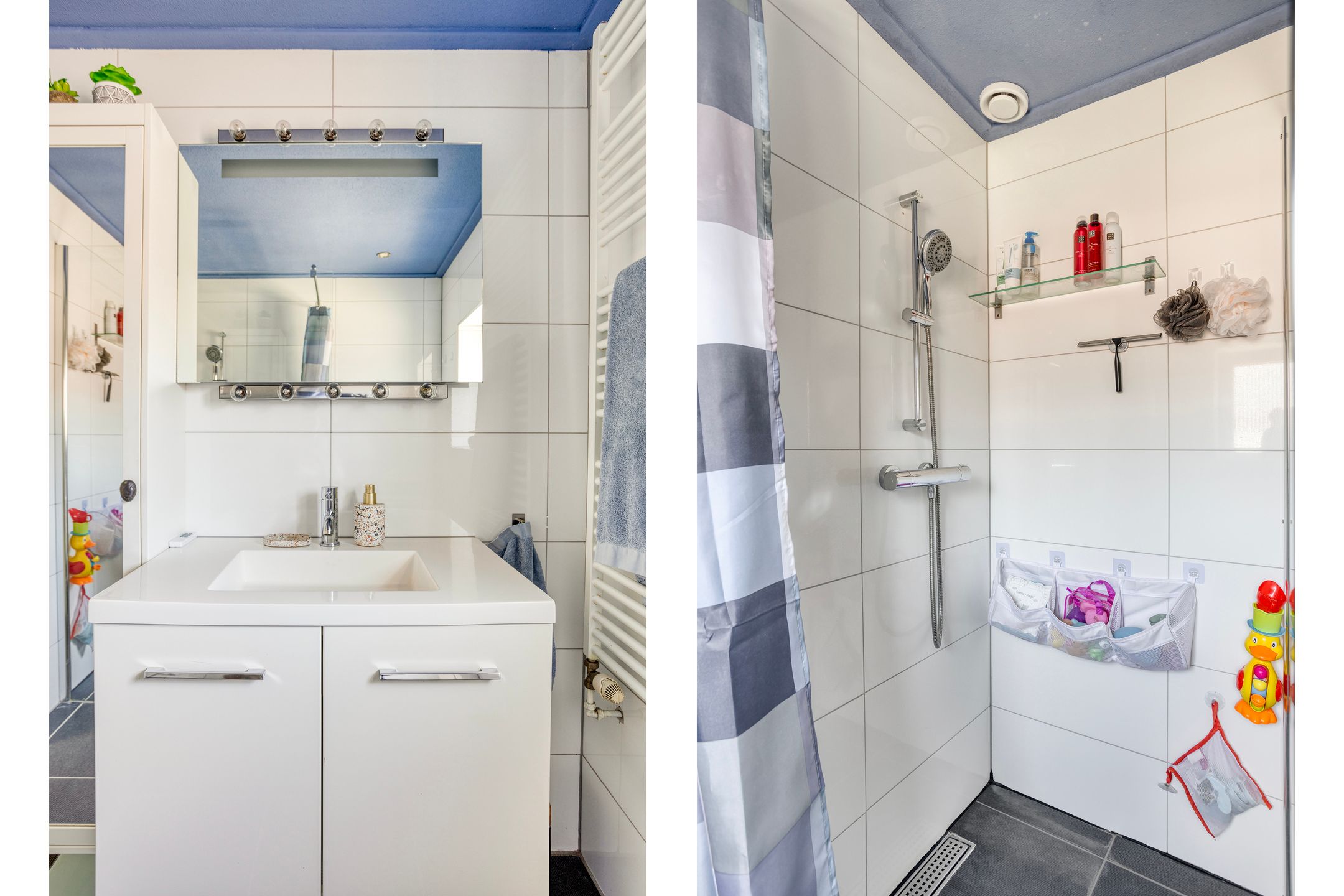 Foto 24 van Prunuslaan 11