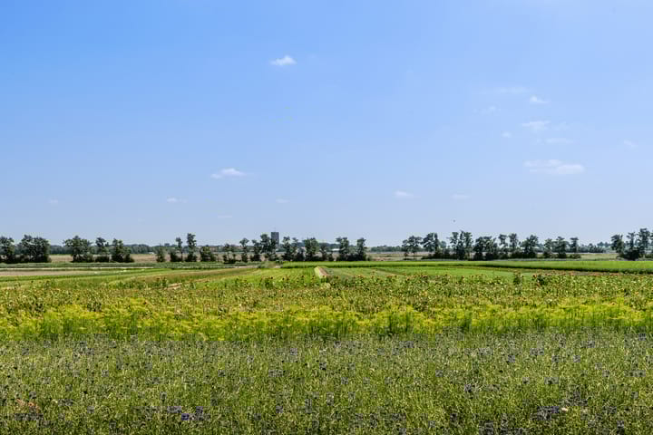 Foto 89 van Oostdijkseweg 43