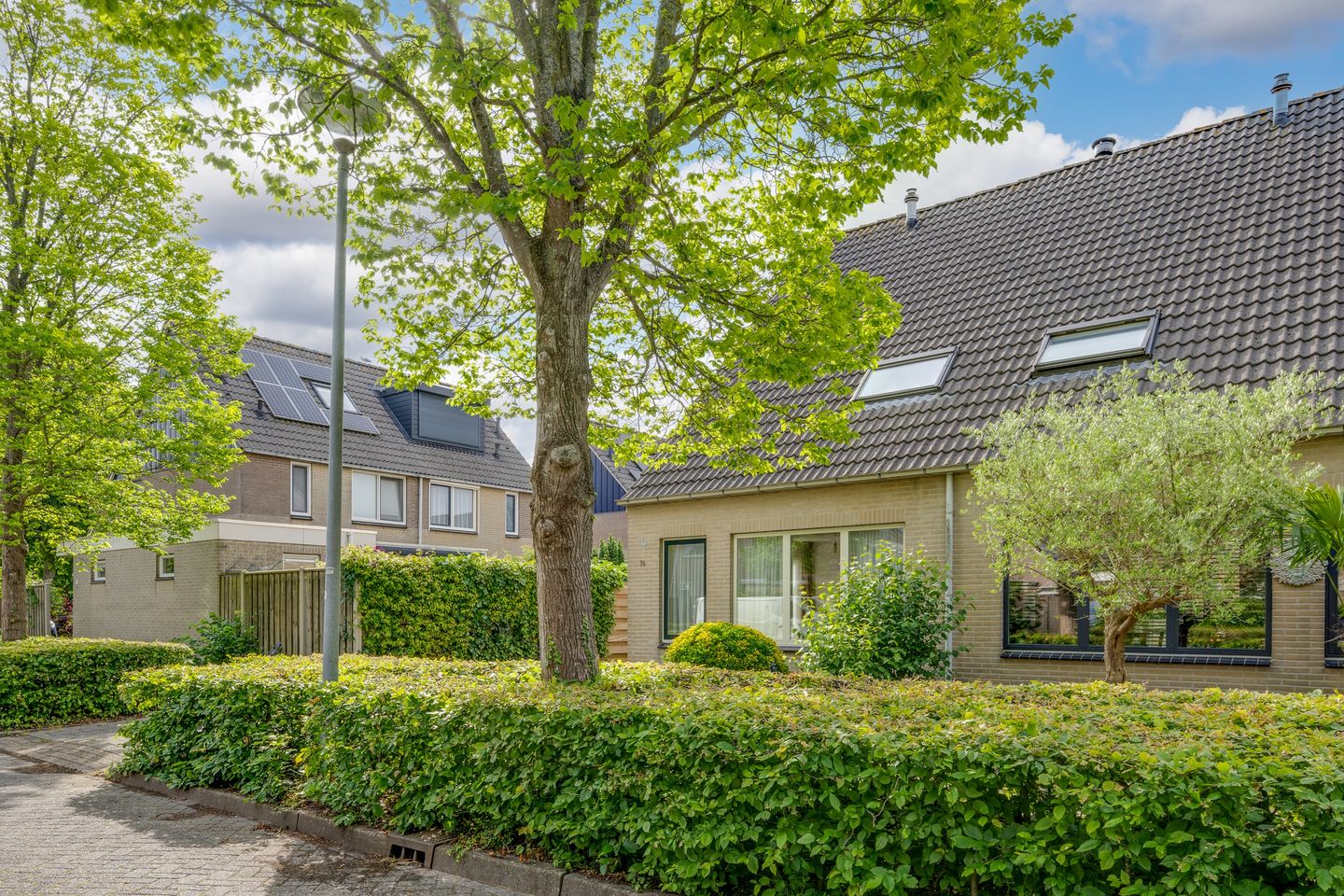 Photo 5 of Veranda 74