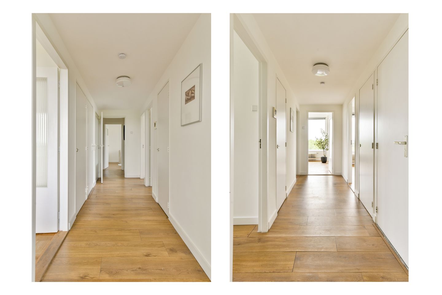 Foto 19 van Nijenburg 42