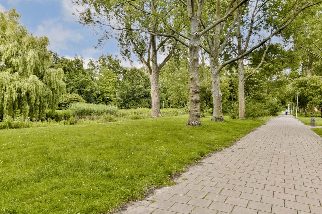 Foto 37 van Nijenburg 42