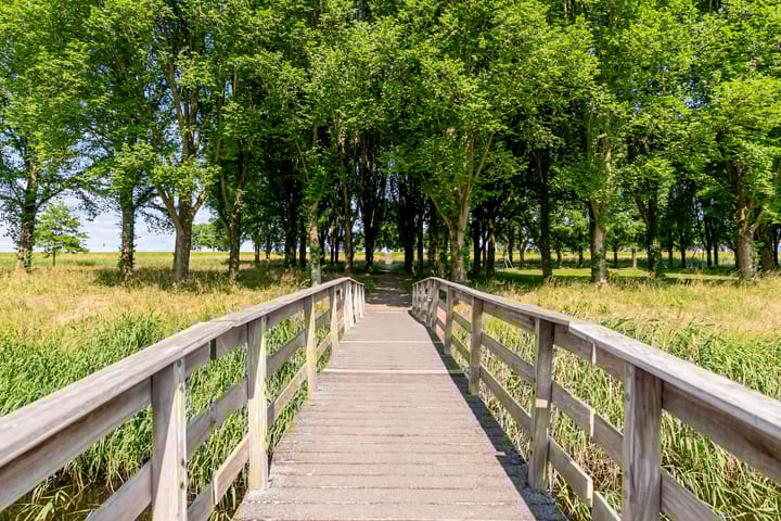 Foto 55 van Lelyweg 98