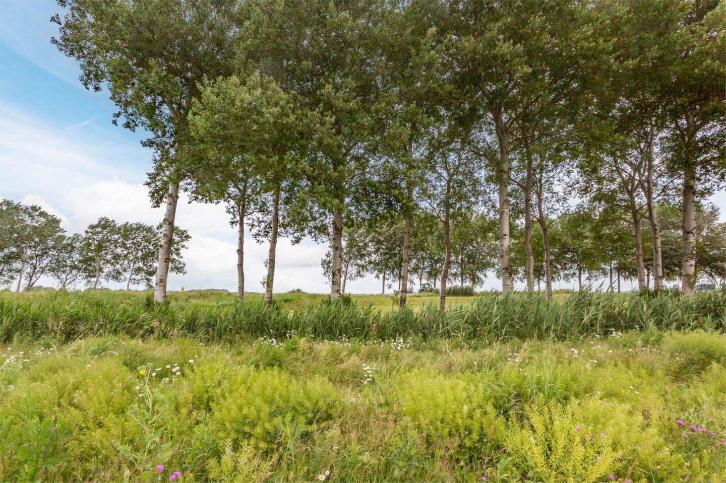 Foto 40 van Vuursteenhof 37