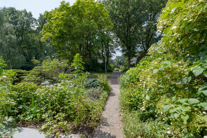 Foto 64 van Lijsterlaan 6