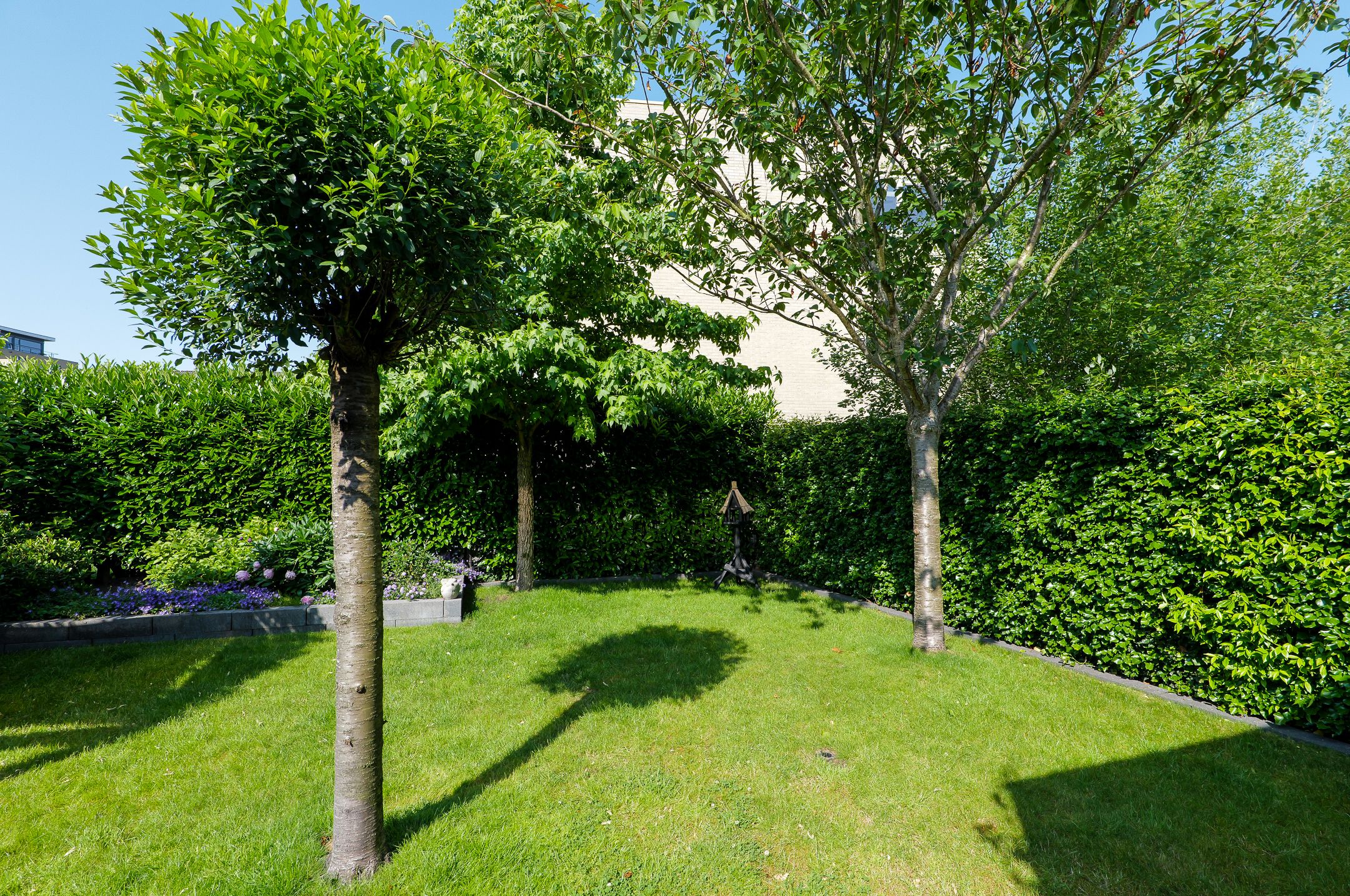 Foto 45 van Stedelaan 18