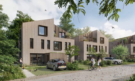 Duinhout fase 1 main image