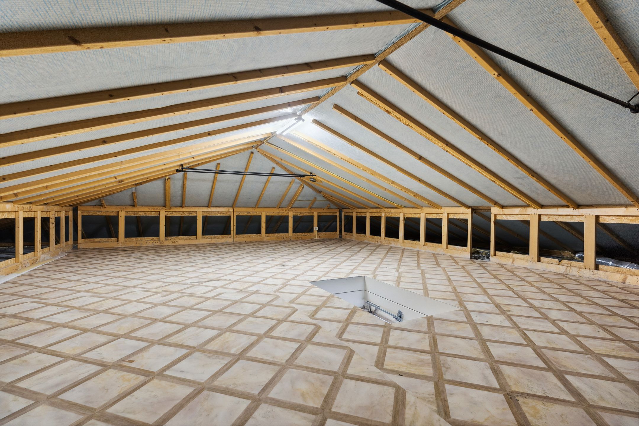 Photo 60 of Kiekendieflaan 3