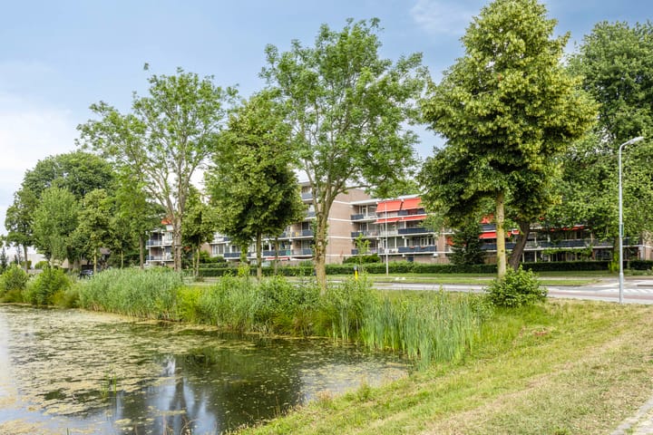 Foto 19 van Zesde Buitenpepers 80