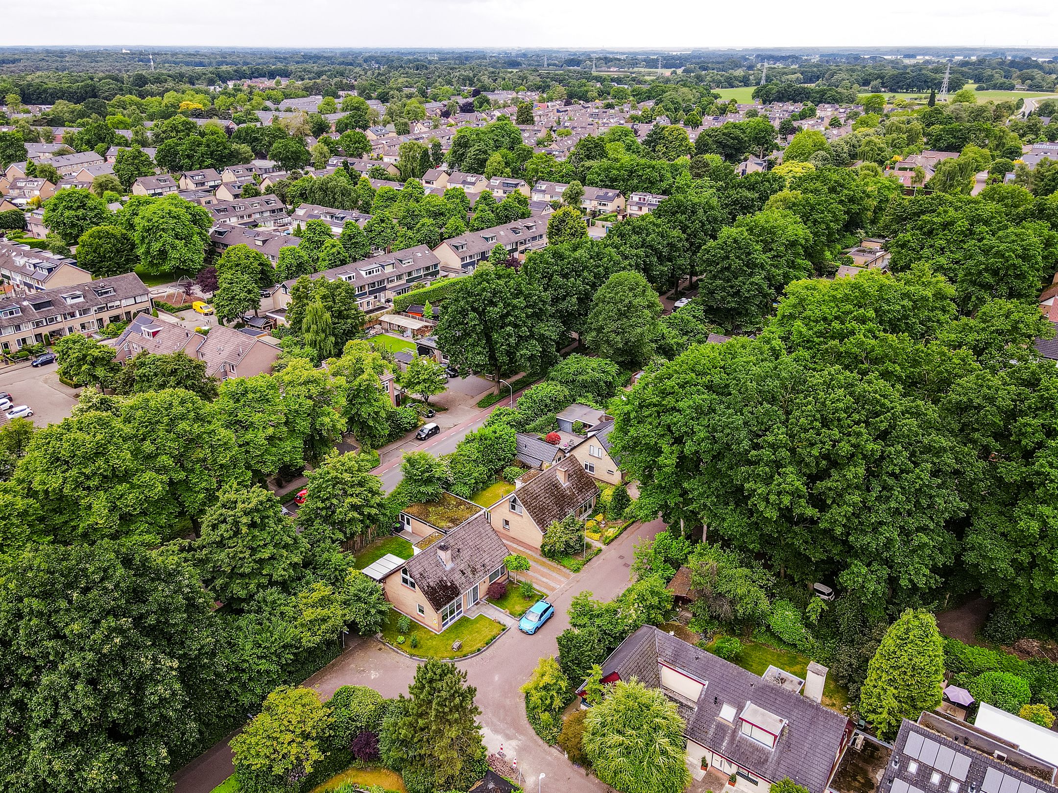 Foto 39 van Wiekslag 3