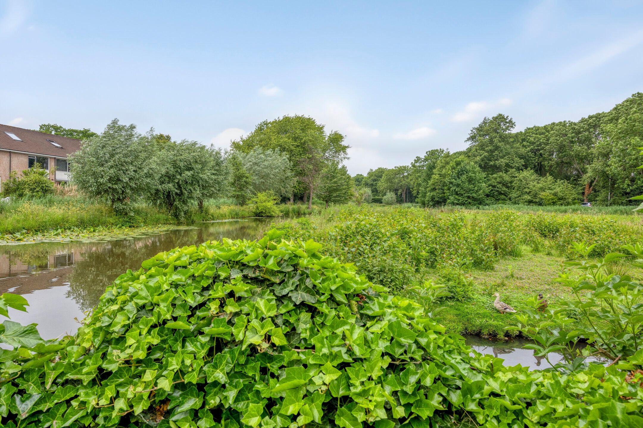 Foto 33 van Capelseweg 518