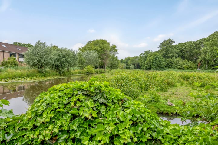 Foto 33 van Capelseweg 518