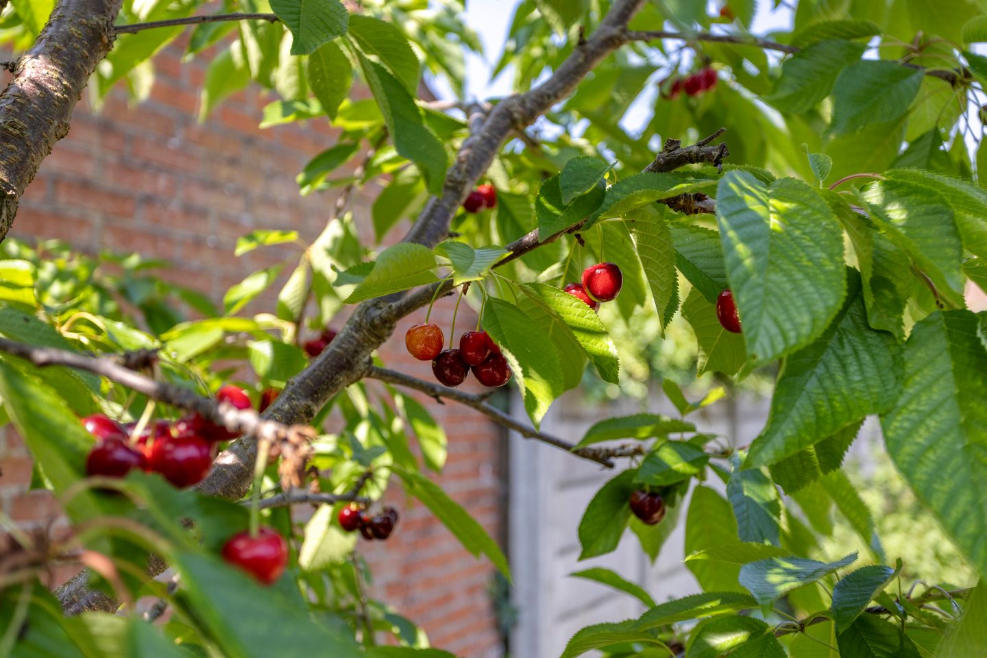 Foto 35 van Toekomststraat 103