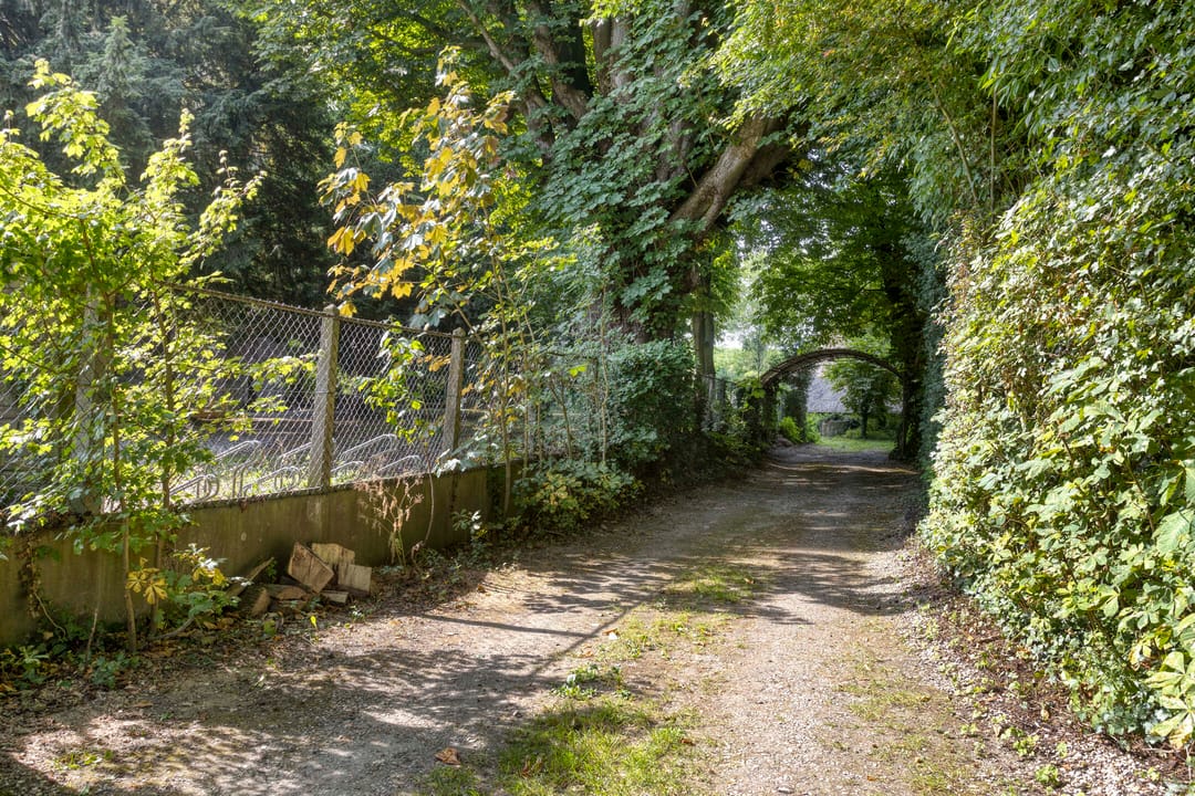 Photo 2 of Waalbandijk 16