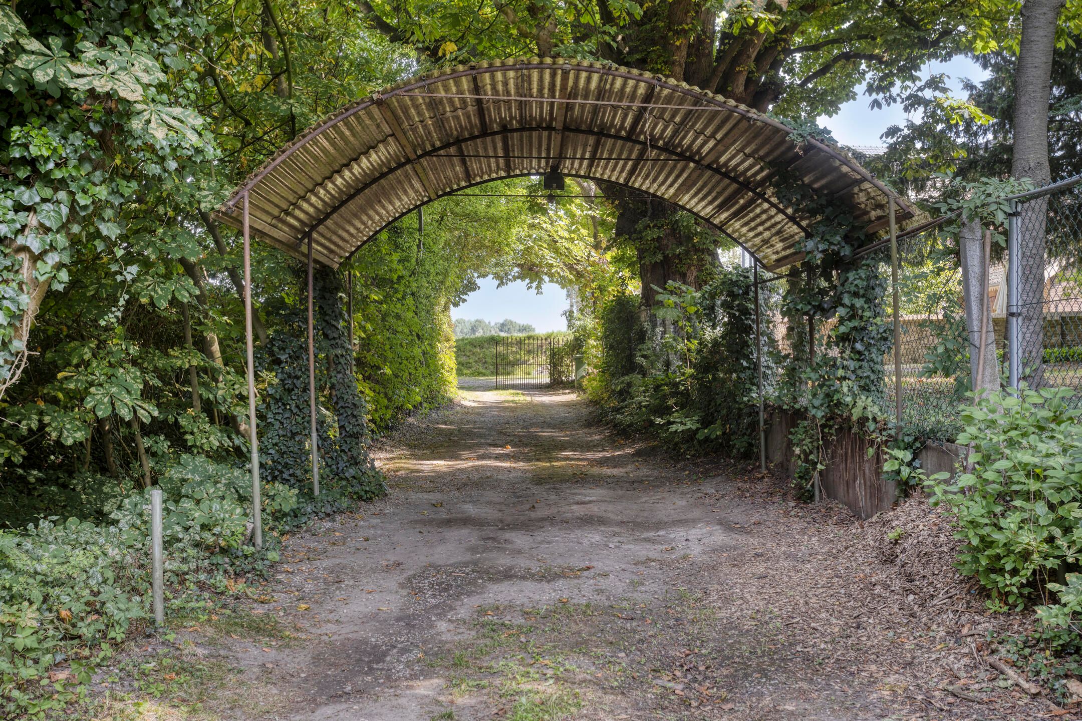 Photo 3 of Waalbandijk 16