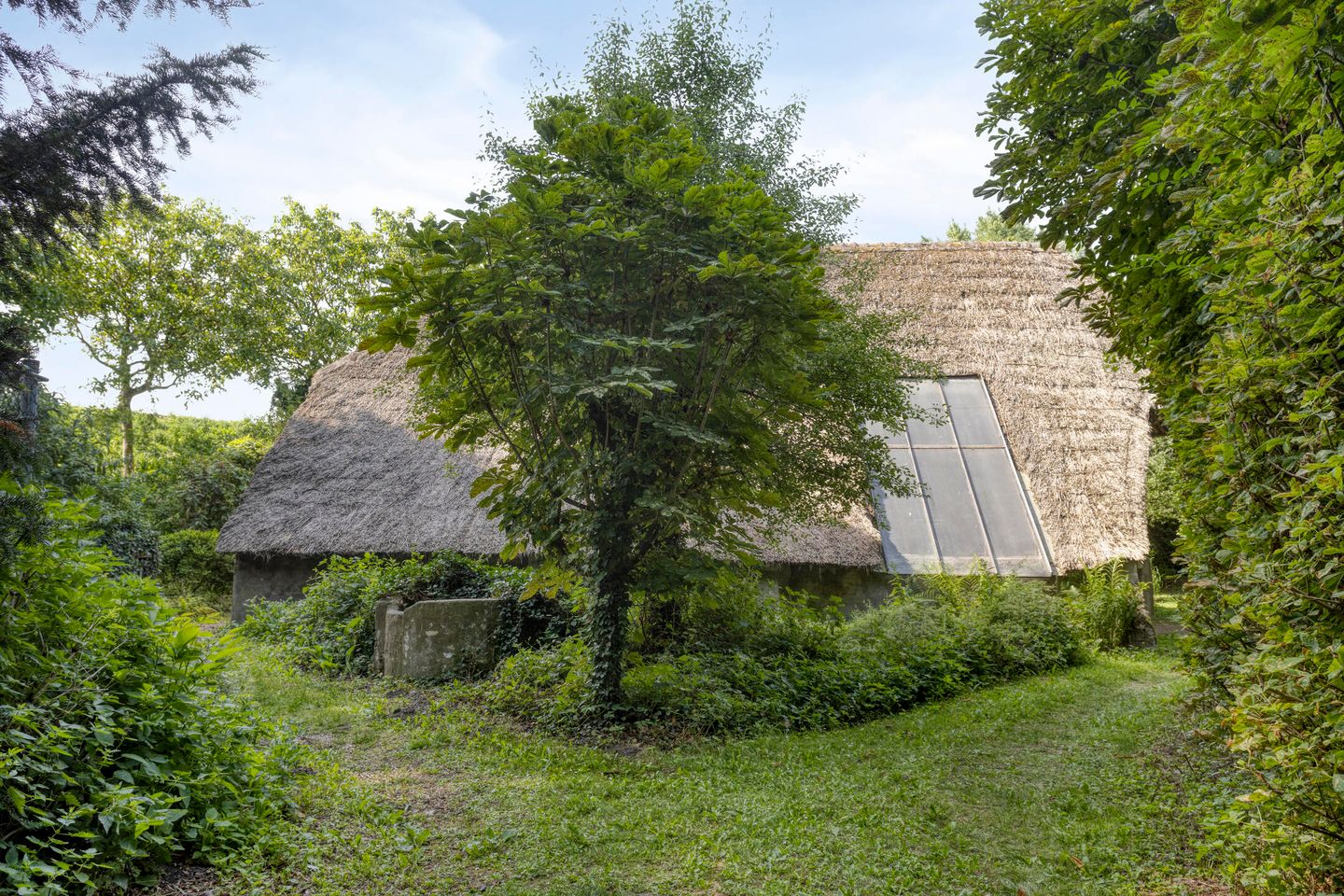 Photo 4 of Waalbandijk 16