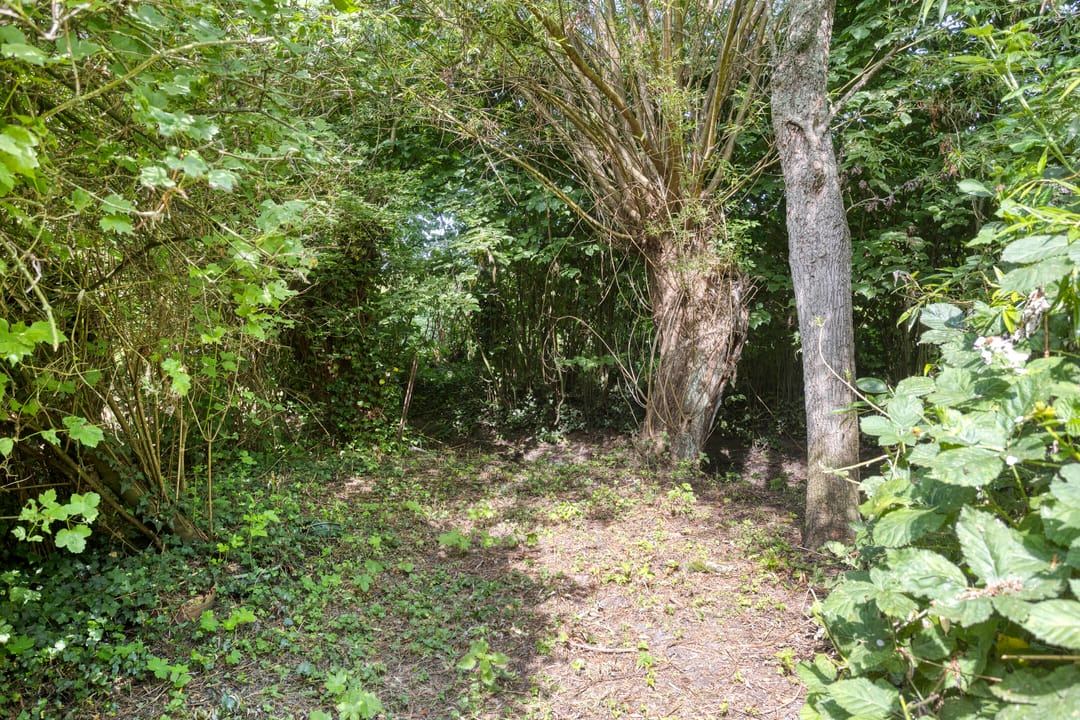 Photo 37 of Waalbandijk 16