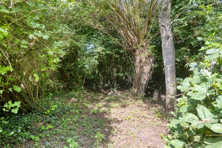 Foto 37 van Waalbandijk 16