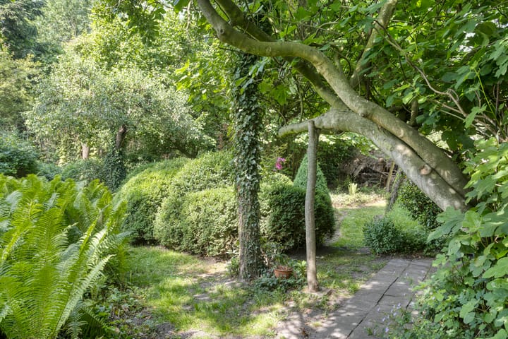 Foto 40 van Waalbandijk 16