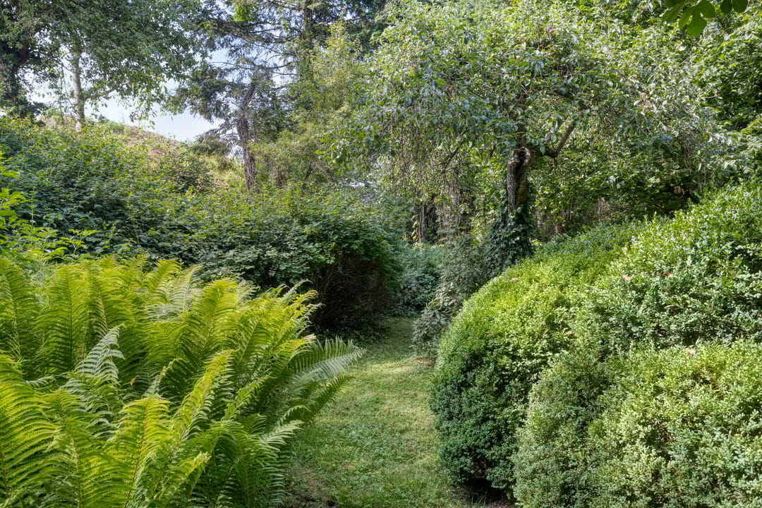 Photo 41 of Waalbandijk 16