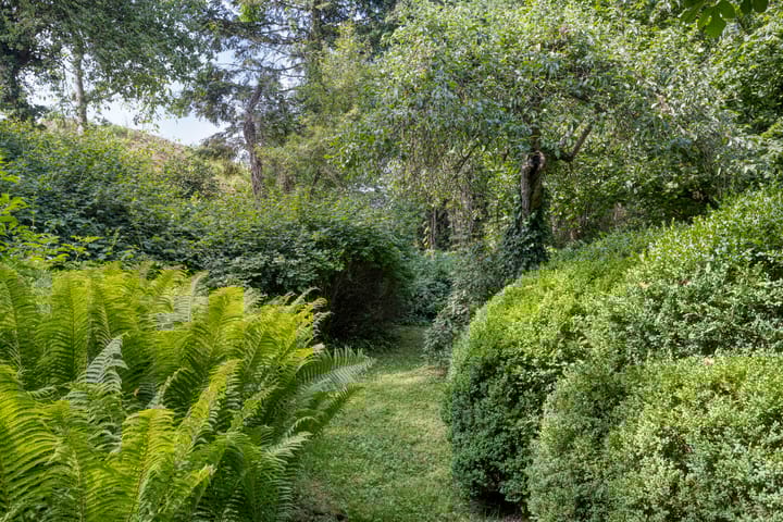 Foto 41 van Waalbandijk 16