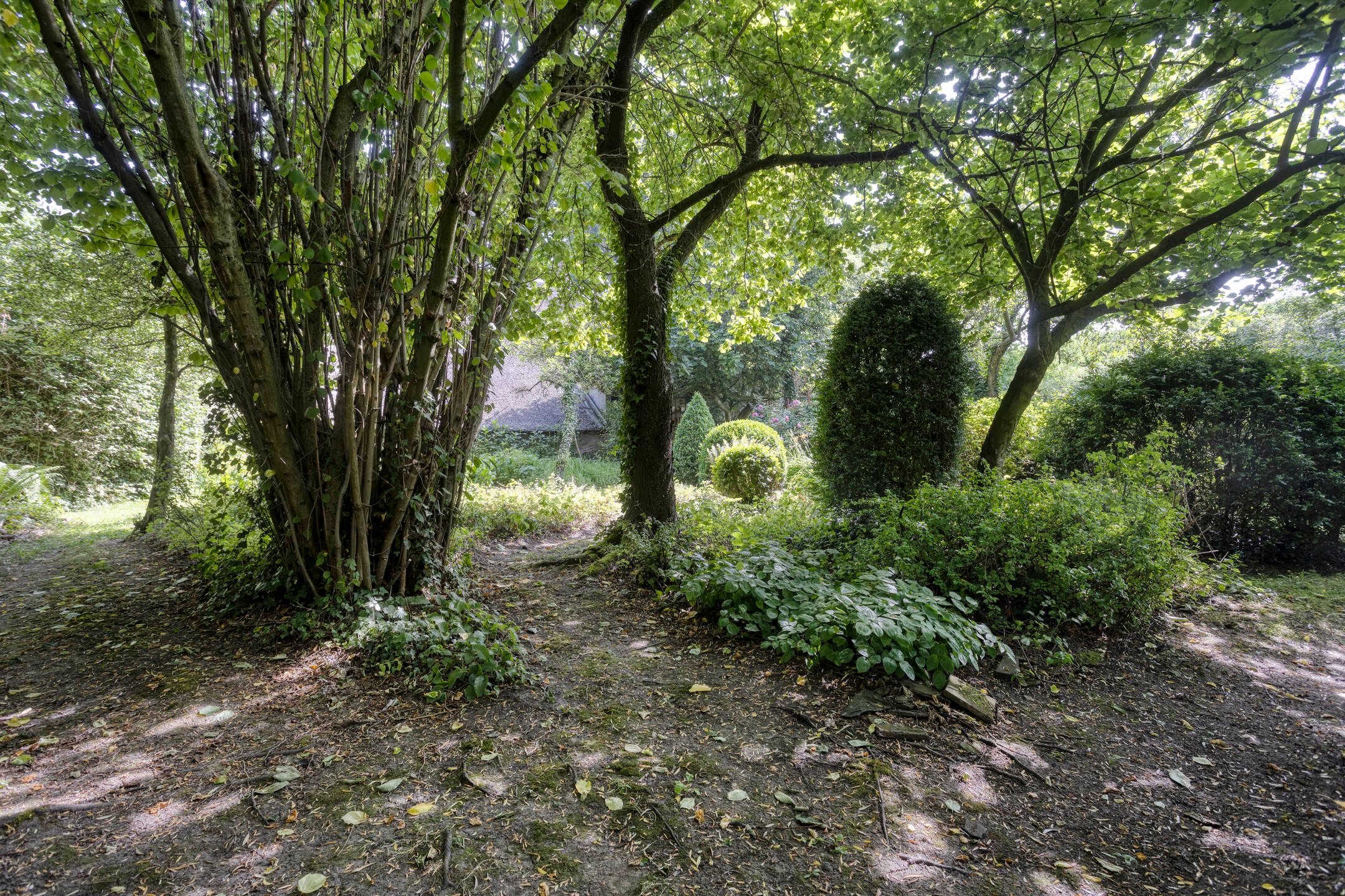 Photo 42 of Waalbandijk 16