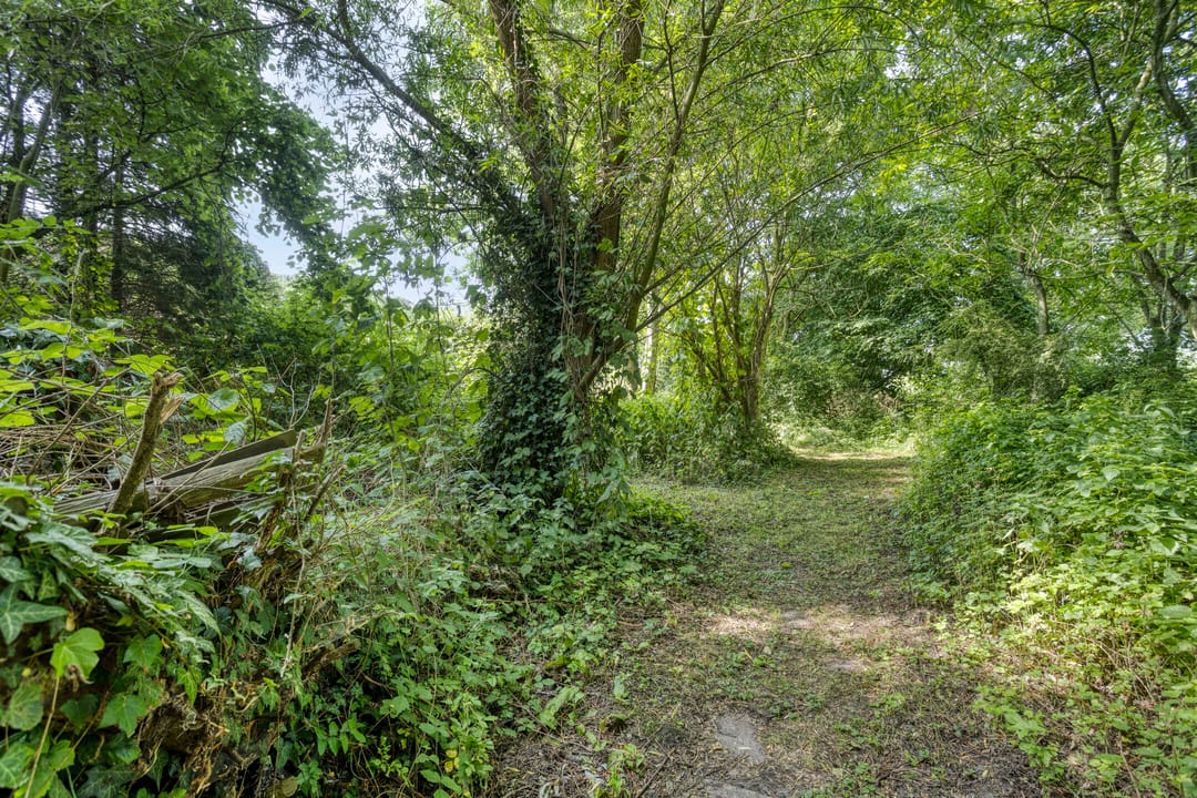 Photo 43 of Waalbandijk 16